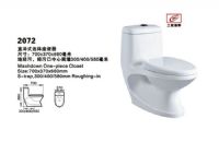 中國衛(wèi)浴潔具十大品牌-阿里斯頓直沖式連體座便器2072